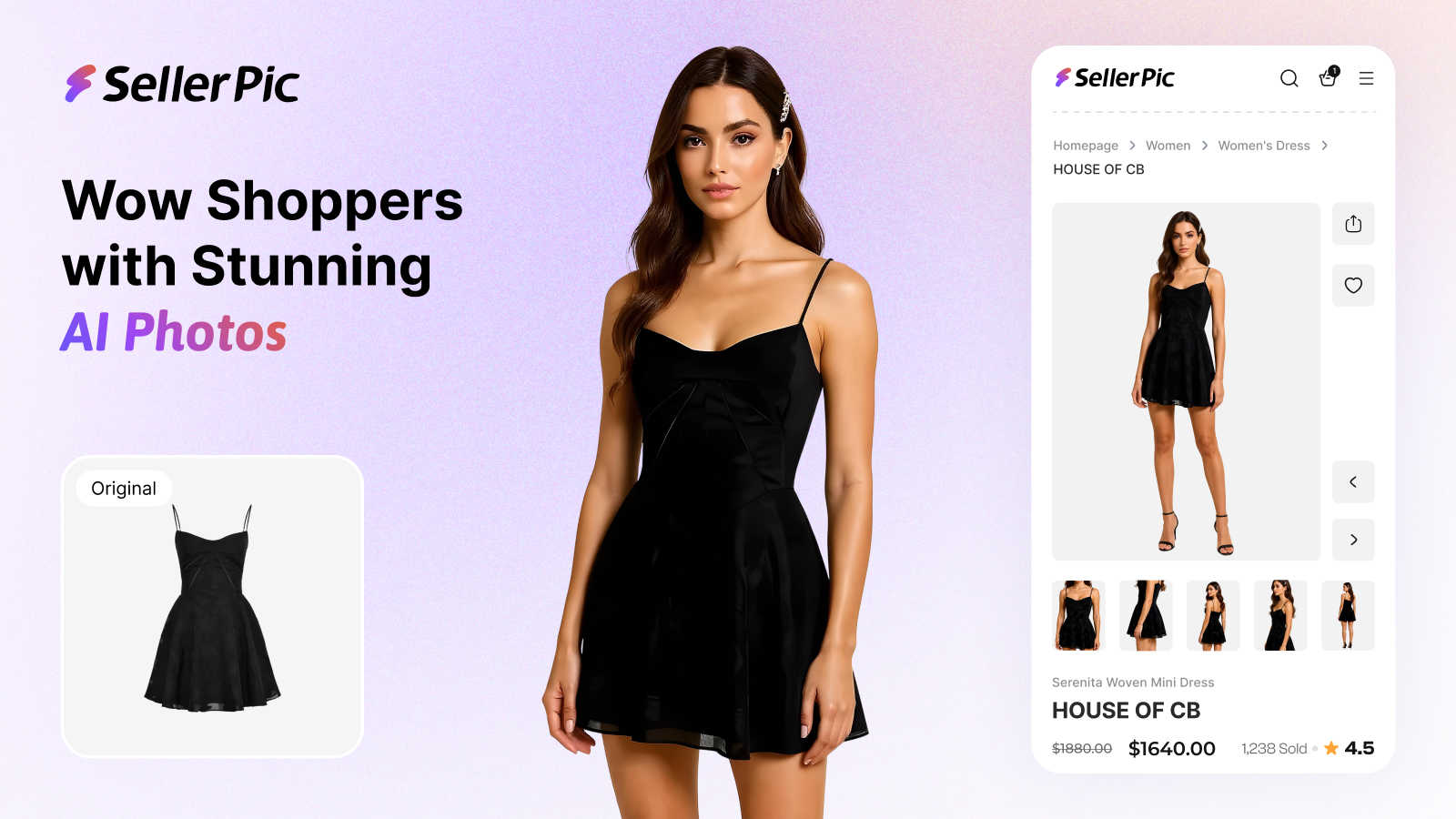 SellerPic application interface and features